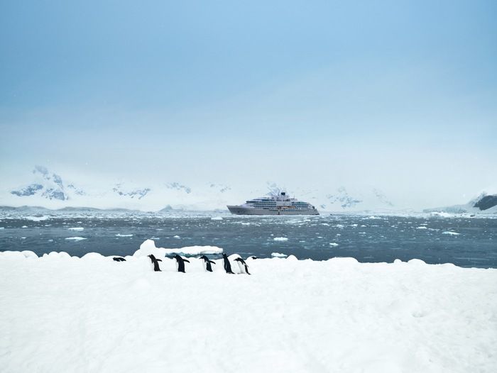 Shore excursions and activities on Silver Endeavour